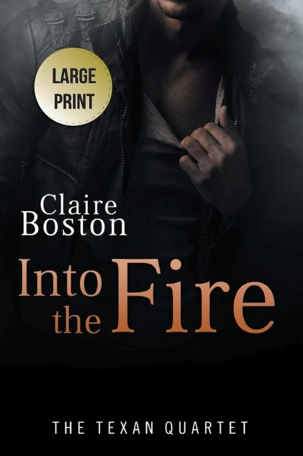 Into the Fire (4) (Texan Quartet)