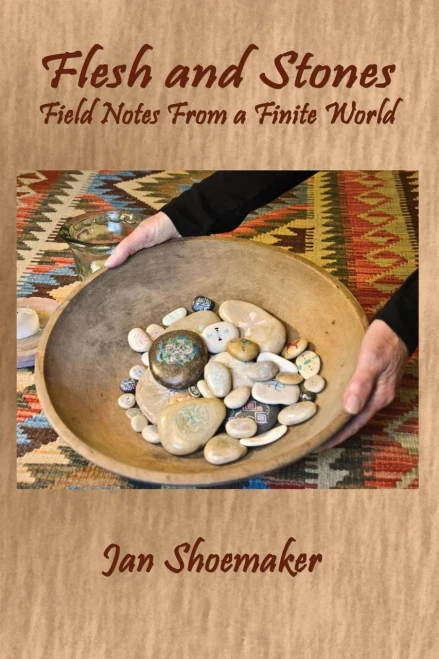 Flesh and Stones: Field Notes From a Finite World (Harmony Memoir Series)