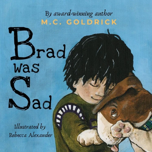 Brad was Sad: Emotional intelligence storybook for kids. How to choose your outlook and own your feelings.