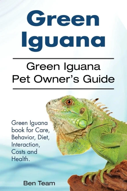 Green Iguana. Green Iguana Pet Owners Guide. Green Iguana book for Care, Behavior, Diet, Interaction, Costs and Health.