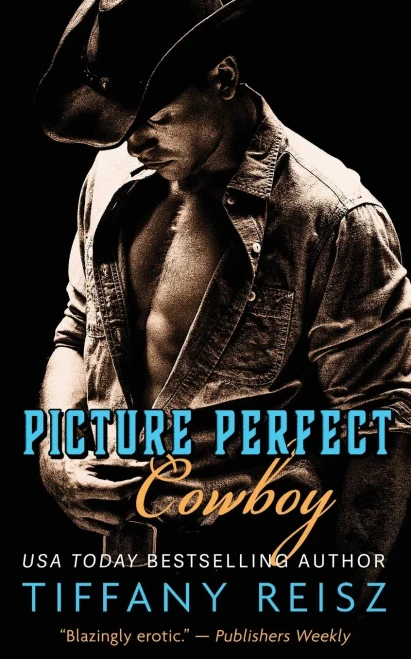 Picture Perfect Cowboy (The Original Sinners - Standalone)