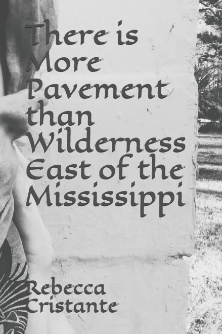 There is More Pavement than Wilderness East of the Mississippi