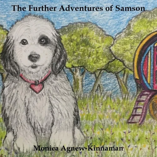 The Further Adventures Of Samson