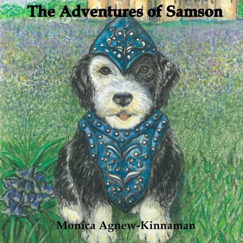 The Adventures Of Samson