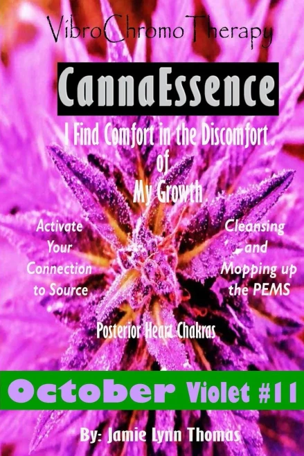Vibrochromotherapy Violet : Cleansing The Pems