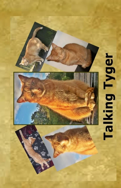 Talking Tyger
