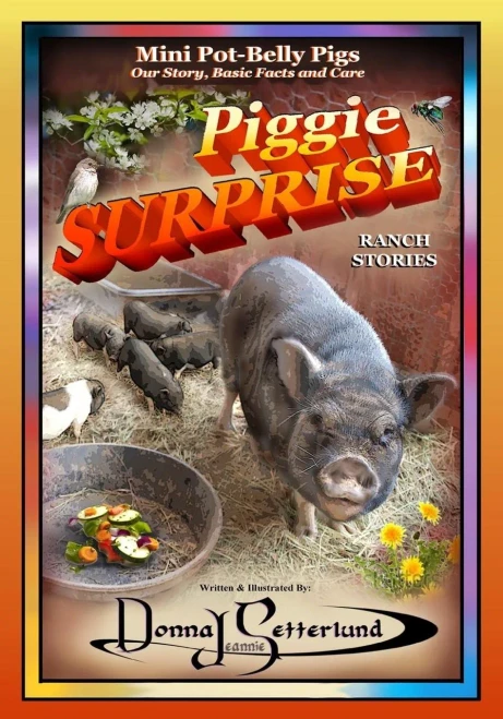 Piggie Surprise : Mini Pot-Belly Pigs, Story, Basic Facts And Care