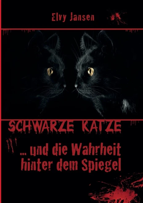 Schwarze Katze...Und die Wahrheit hinter dem Spiegel (German Edition)