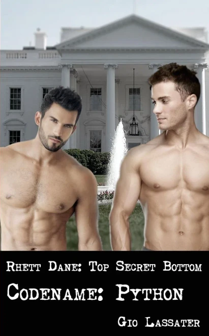 Rhett Dane: Top Secret Bottom : Codename: Python