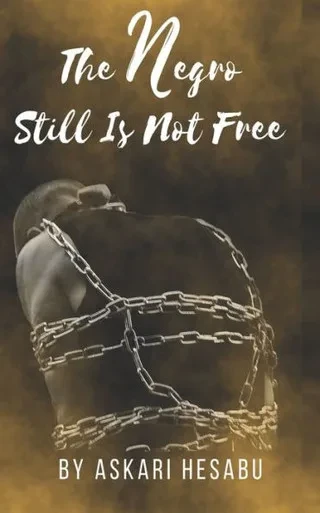 The Negro Still Is Not Free