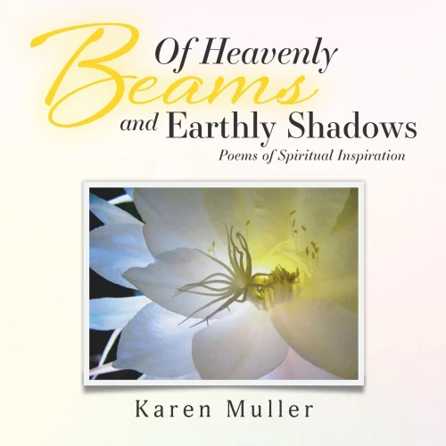 Of Heavenly Beams And Earthly Shadows