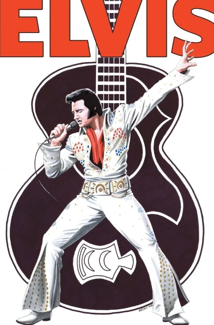 Rock And Roll Comics : Elvis Presley Experience: Special Hard Cover Edition