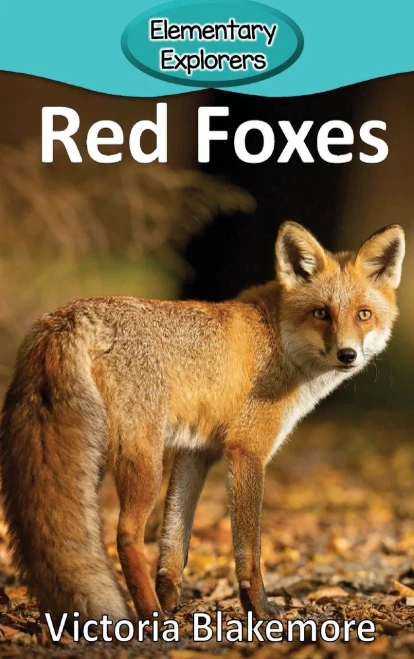 Red Foxes