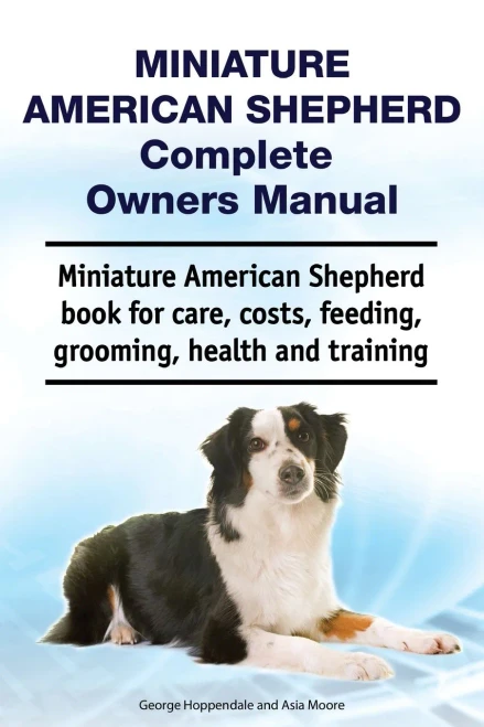 Miniature American Shepherd Complete Owners Manual. Miniature American Shepherd Book For Care, Costs, Feeding, Grooming, Health And Training.