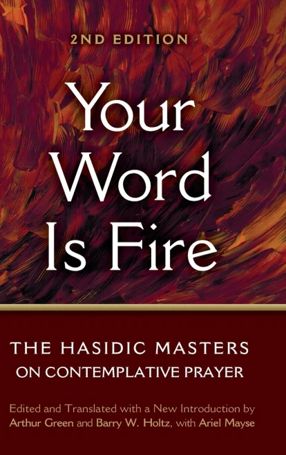 Your Word Is Fire : The Hasidic Masters On Contemplative Prayer