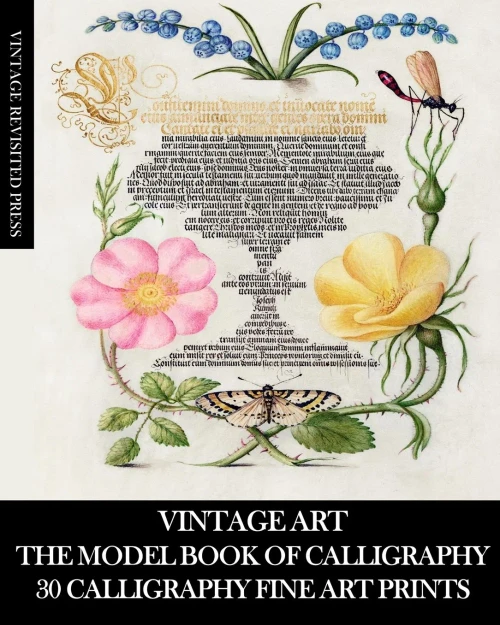 Vintage Art: The Model Book Of Calligraphy: 30 Calligraphy Fine Art Prints
