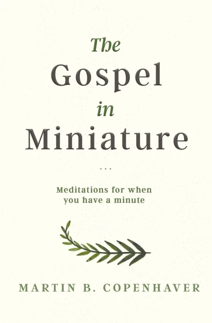 The Gospel In Miniature : Meditations For When You Have A Minute