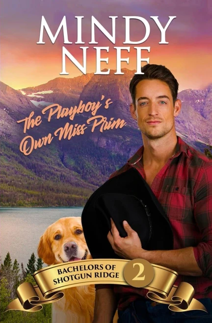 The Playboy'S Own Miss Prim : Small Town Contemporary Romance