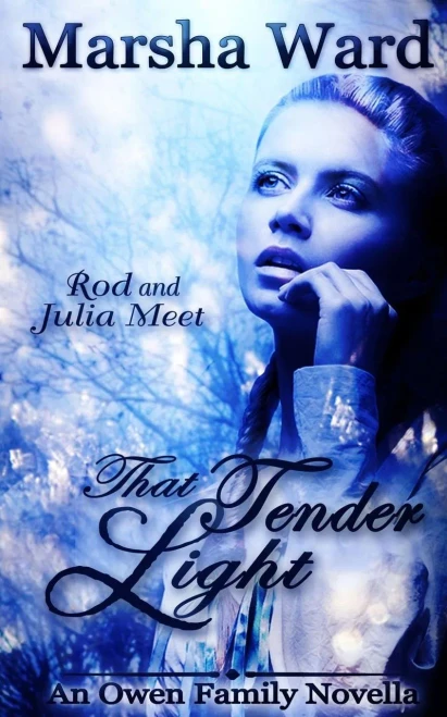That Tender Light : An Owen Family Novella