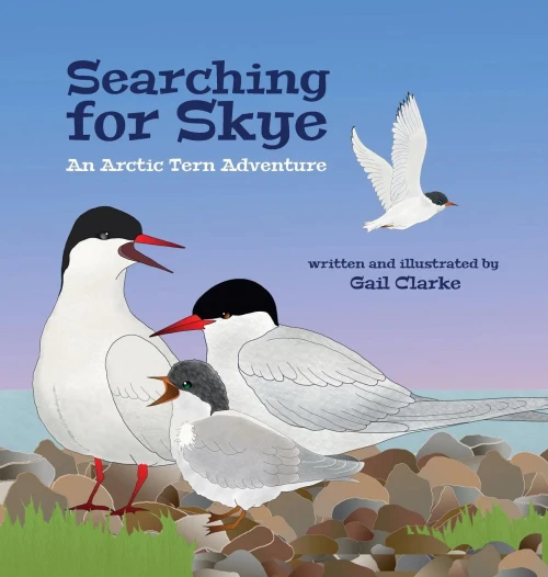 Searching For Skye : An Arctic Tern Adventure
