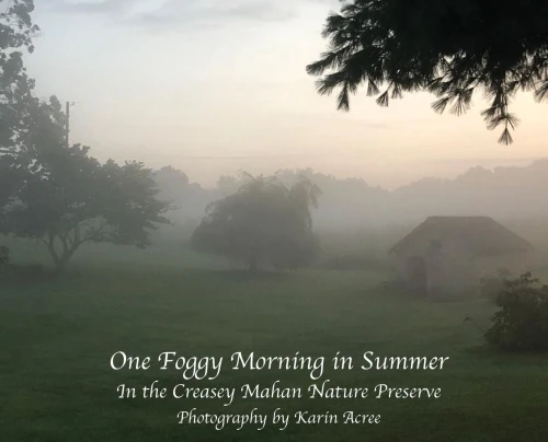 One Foggy Morning In Summer: In The Creasey Mahan Nature Preserve