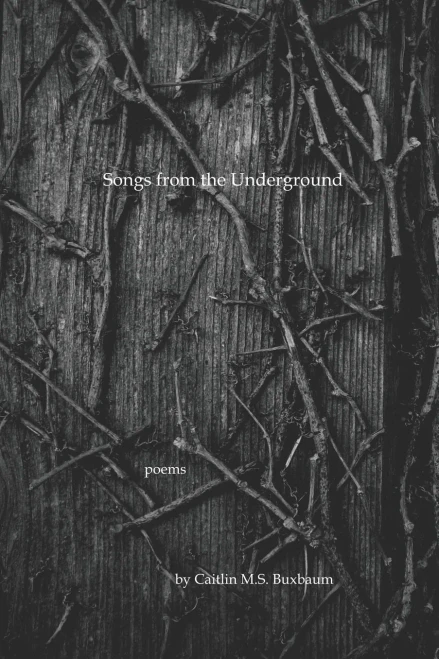Songs From The Underground