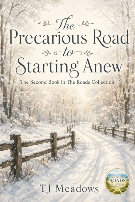 The Precarious Road to Starting Anew (Paperback)