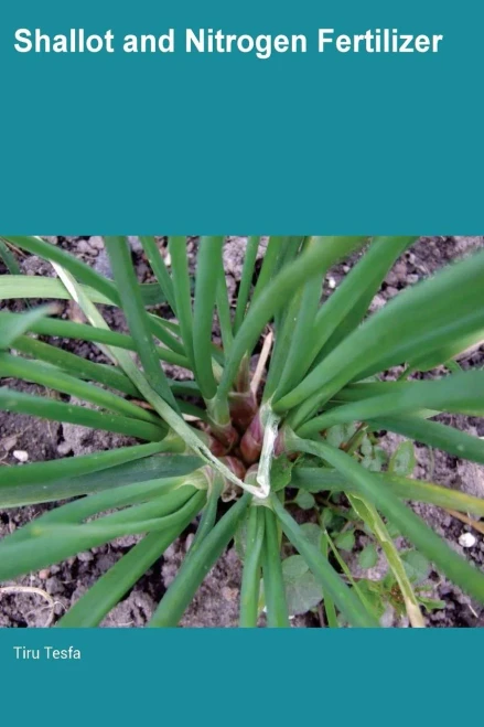 Shallot And Nitrogen Fertilizer