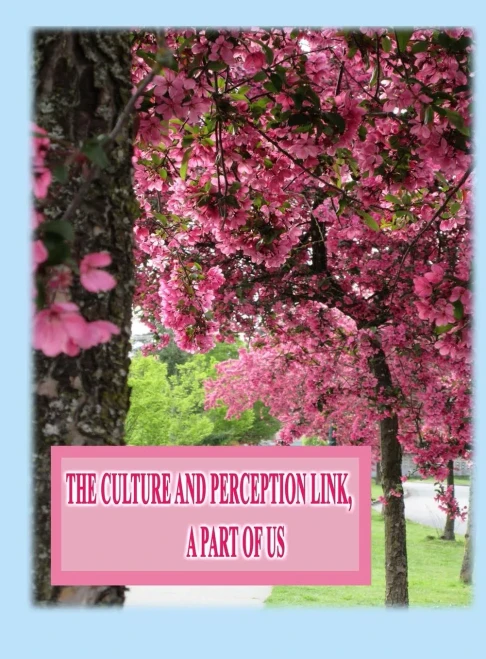 The Culture And Perception Link : A Part Of Us
