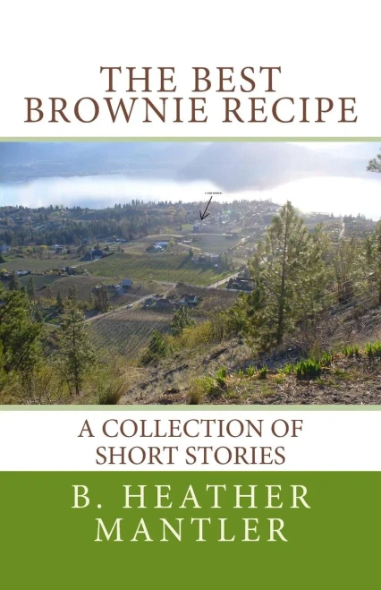 The Best Brownie Recipe : A Collection Of Short Stories