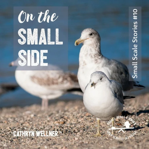 On The Small Side