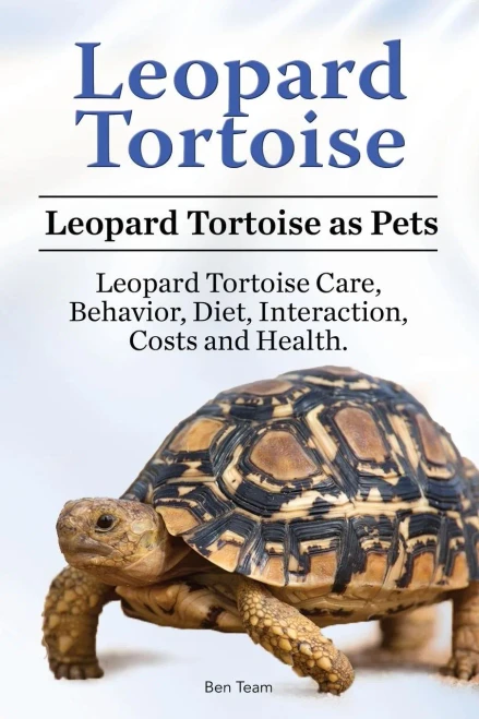 Leopard Tortoise. Leopard Tortoise As Pets. Leopard Tortoise Care, Behavior, Diet, Interaction, Costs And Health