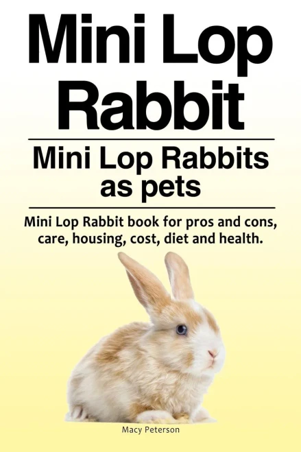 Mini Lop Rabbit. Mini Lop Rabbits As Pets. Mini Lop Rabbit Book For Pros And Cons, Care, Housing, Cost, Diet And Health.