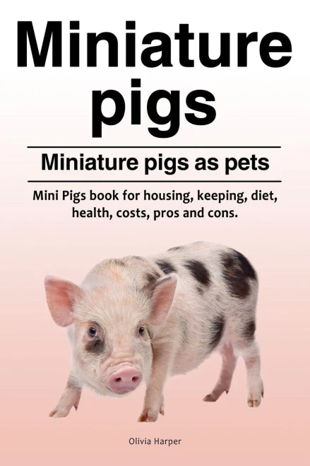 Miniature Pigs. Miniature Pigs As Pets. Mini Pigs Book For Housing, Keeping, Diet, Health, Costs, Pros And Cons.