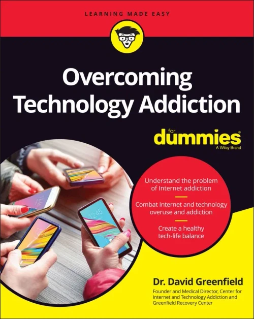 Overcoming Internet Addiction For Dummies