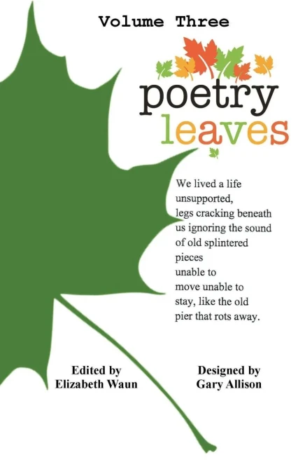 Poetry Leaves: Adult Contemporary (9781721139248)