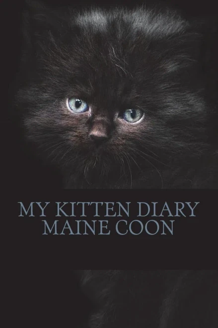 My Kitten Diary : Maine Coon