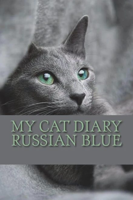 My Cat Diary : Russian Blue