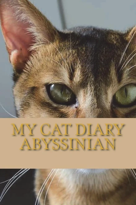 My Cat Diary : Abyssinian