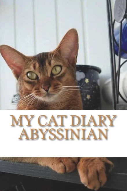 My Cat Diary : Abyssinian
