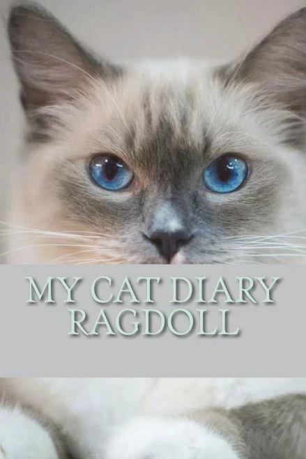 My Cat Diary : Ragdoll