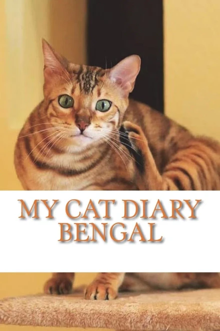 My Cat Diary : Bengal