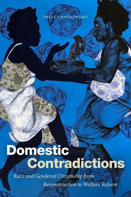 Domestic Contradictions: Race And Gendered Citizenship From Reconstruction To Welfare Reform (Hardcover)