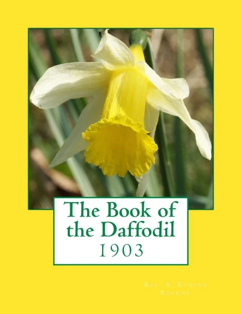The Book Of The Daffodil
