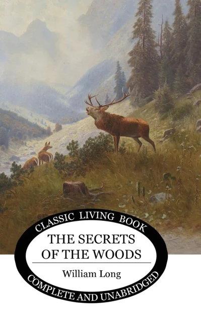 Secrets Of The Woods