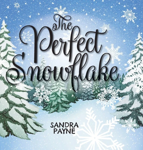 The Perfect Snowflake (Hardcover)