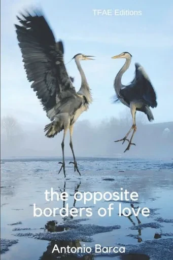 The Opposite Borders Of Love : An Unexpected Thriller