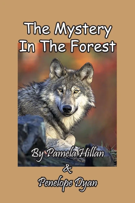 The Mystery In The Forest