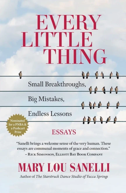 Every Little Thing: Small Breakthroughs, Big Mistakes, Endless Lessons