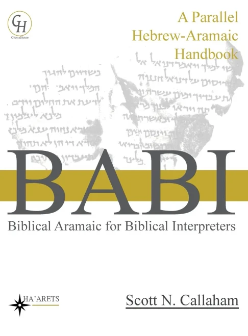 Biblical Aramaic For Biblical Interpreters: A Parallel Hebrew-Aramaic Handbook (Hardcover)